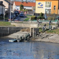 Výlov Hornomlýnského rybníka (Vernerák) 4.dubna 2019 od 07:30 hodin