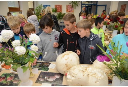 Výstava hub a jiřinek 6. a 7. září 2015